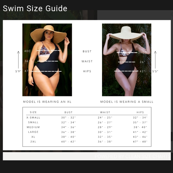 ❤New! Paolo 2 Piece Bikini- Size Medium - Picture 7 of 7